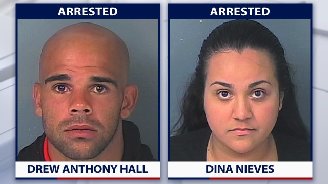 Deputies arrest Spring Hill couple after cats found in deplorable conditions