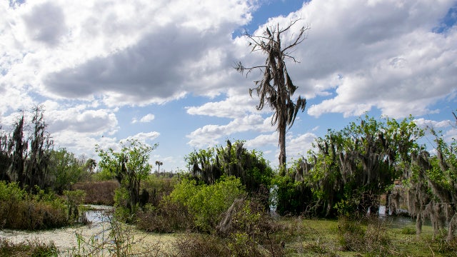 Lawmakers settle on $100M for land preservation