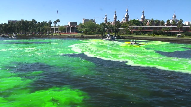Tampa postpones St. Patrick’s Day festival, Rough Riders parade