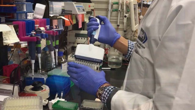 Tampa scientist says a faster test for COVID-19 is needed