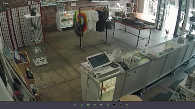 Chicken causes $1,200 in damage at Ybor CBD shop