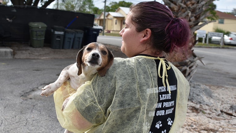 Nearly 150 Dogs Rescued From Florida Property; Some Will Be Adoptable ...