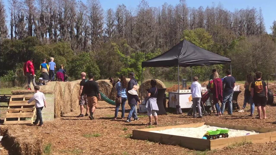 Tampa area businesswoman brings farmer s markets to people with