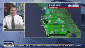 Weather Forecast | FOX 13 Tampa Bay