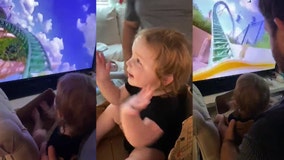 Toddler takes virtual ride on Busch Gardens roller coaster