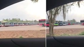 Video shows hundreds of Disney buses parked at Magic Kingdom as theme parks remain closed