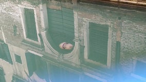 Jellyfish glides through clear waters of Venice canal