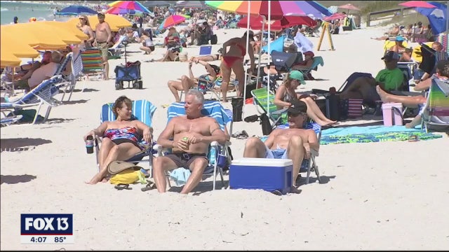 Beach exercise, dog grooming could get green light in Pinellas
