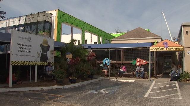 Humane Society of Tampa Bay continues to accept animals during pandemic