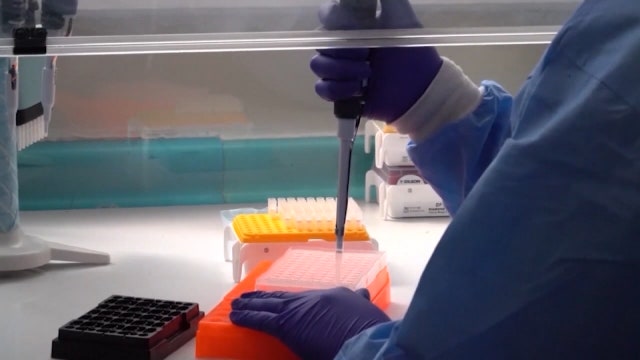 Florida's COVID-19 testing to ramp up; antibody tests on their way, DeSantis says