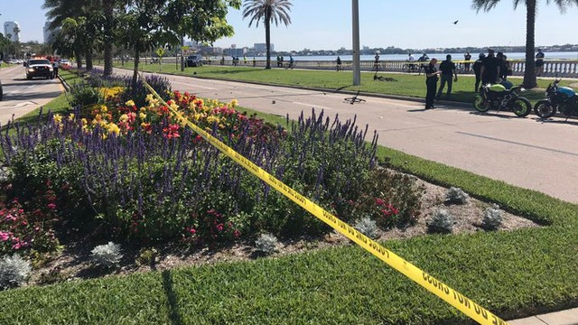 Tampa leaders hold virtual meeting on how to make Bayshore safer