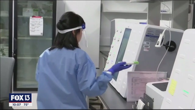 Rapid COVID-19 testing begins Thursday in Tampa Bay area, offering results in minutes, not days
