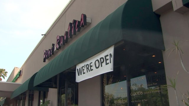 Task force recommendations would ramp up Florida's economy