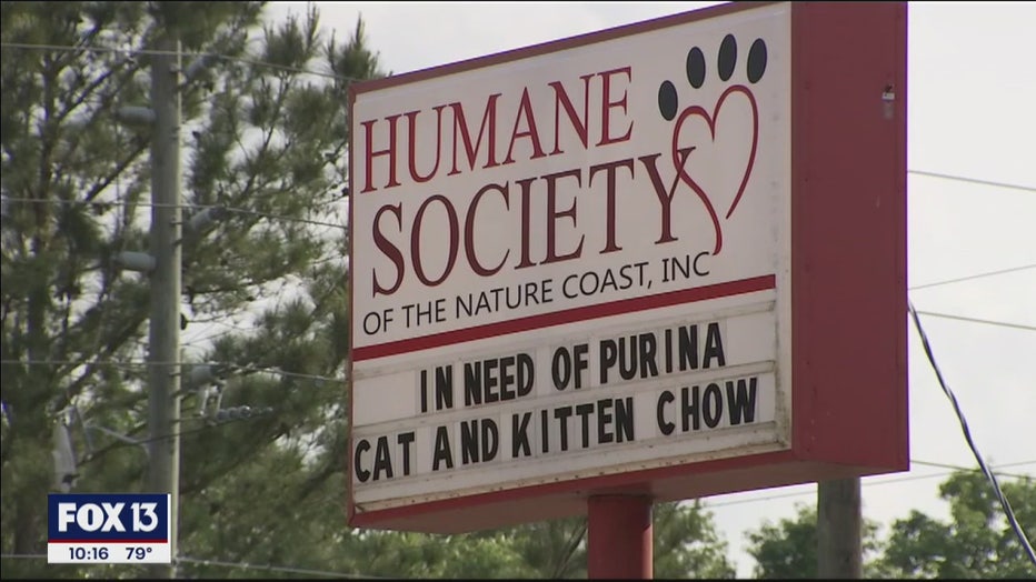 After Nearly All Supplies Stolen From Humane Society In Hernando County ...