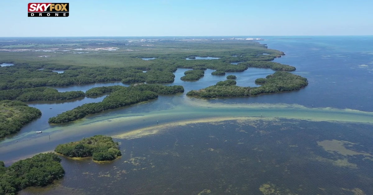 Despite its name, Cockroach Bay is a nature-lovers paradise | FOX 13 ...