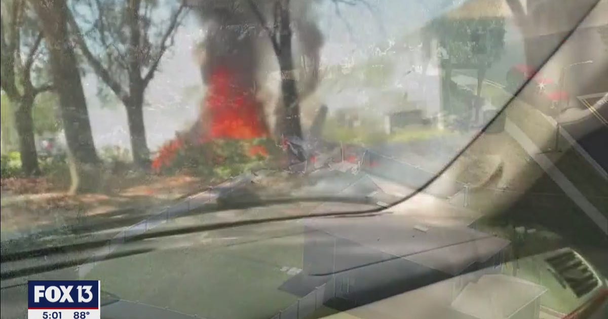 1 dead after small plane crashes in backyard of Pasco County home | FOX ...