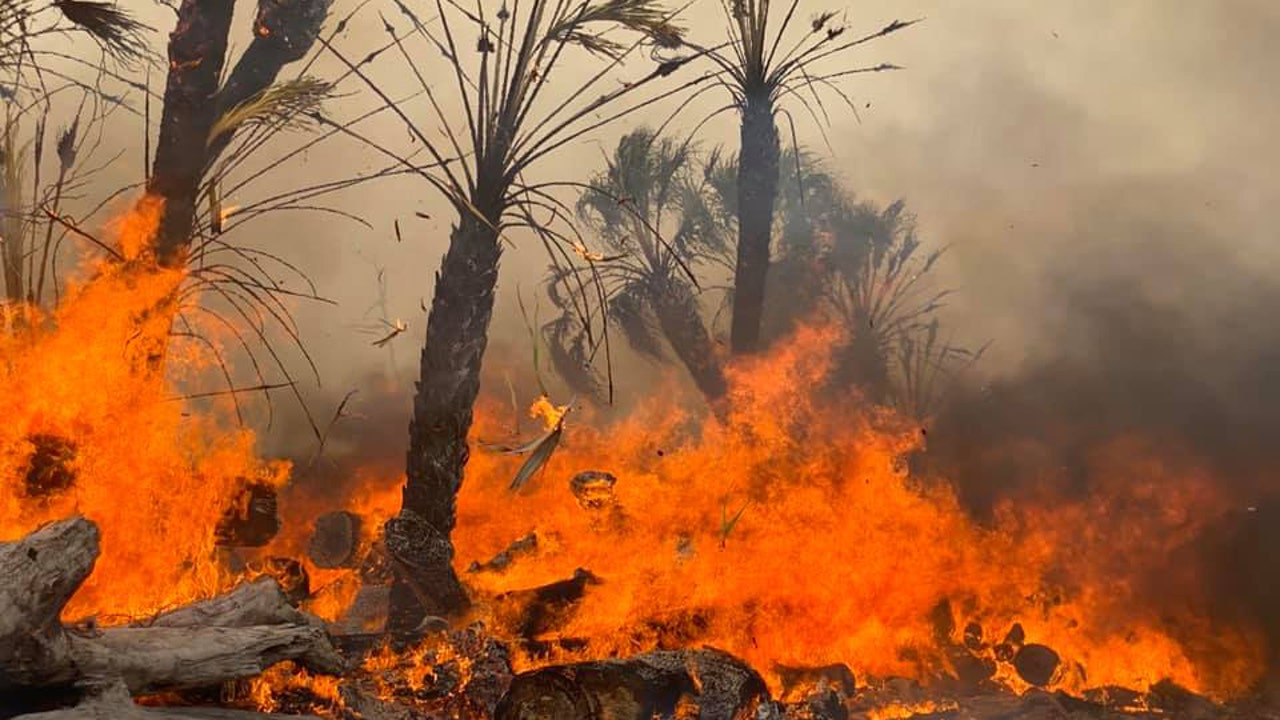 Southwest Florida brush fire destroyed at least 7 homes