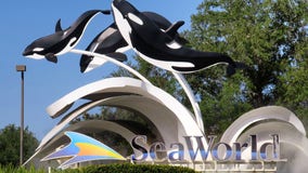 SeaWorld offers early Black Friday ticket deals