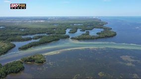 Despite its name, Cockroach Bay is a nature-lovers paradise