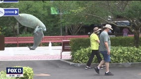 ZooTampa reopens to seniors Tuesday before full reopening Friday