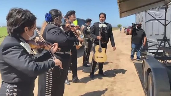 Mariachi band serenades farmers in the field in show of appreciation