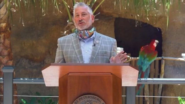 Parrot steals the spotlight during St. Pete mayor's daily COVID-19 update