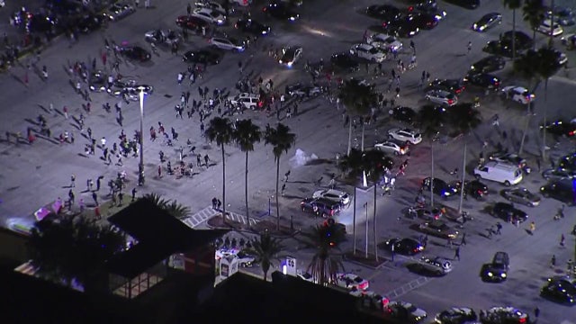 Hundreds of protesters loot stores near Busch Gardens, forcing Tampa streets to close