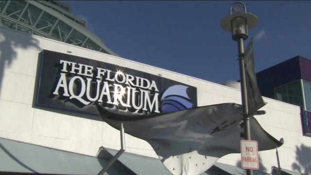 Local attractions adjusting their way of operating to welcome people back