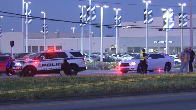 Ford van sought in hit-and-run that killed pedestrian on Hillsborough Ave.