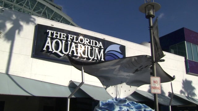 City of Tampa, Florida Aquarium giving out free tickets to those who get COVID-19 vaccinations Wednesday