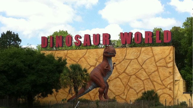 Visitors can return to Dinosaur World starting Thursday, May 7