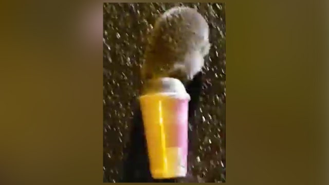 Police in Ireland rescue a hedgehog stuck in takeaway cup