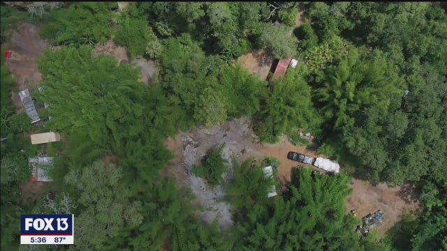 Legal battle over easement roadway land-locks bird sanctuary owner on property