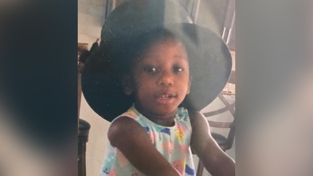 Tampa police find body of missing 2-year-old girl in lake