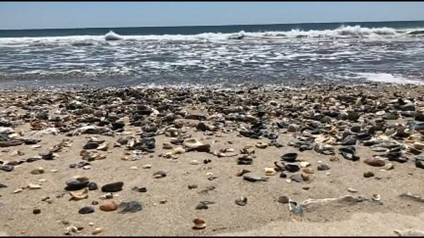 North Carolina man hears screams, pulls 2 young girls from Outer Banks rip current in 'heroic' rescue: officia