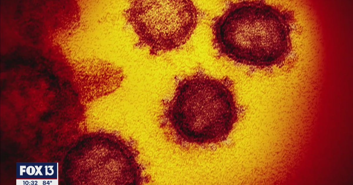 Study uncovers link between blood type and coronavirus susceptibility ...