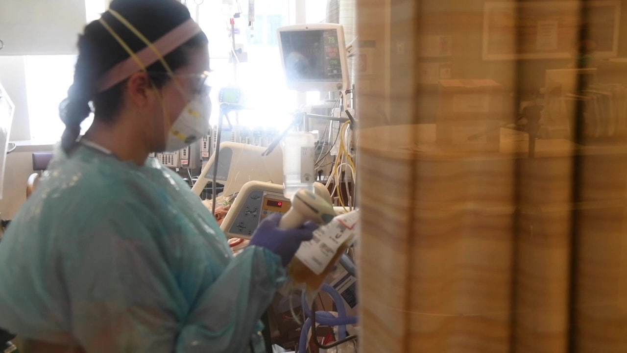 Mutation helps COVID-19 unfold extra simply, replicate quicker - FOX 13 Tampa Bay thumbnail