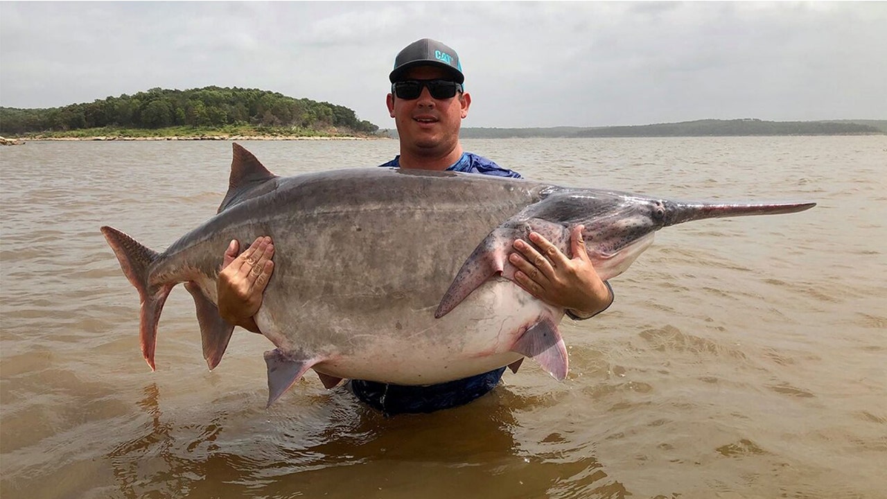 Oklahoma angler snags possible world record-breaking paddlefish, officials  say