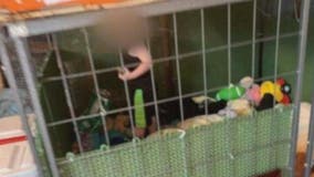 Tennessee deputies find toddler in dog cage; arrest mom, 2 others