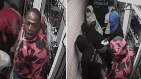 Deputies search for looting suspects who broke into Tampa jewelry store