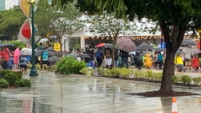 Umbrellas and fists raised for justice and peace in Sarasota