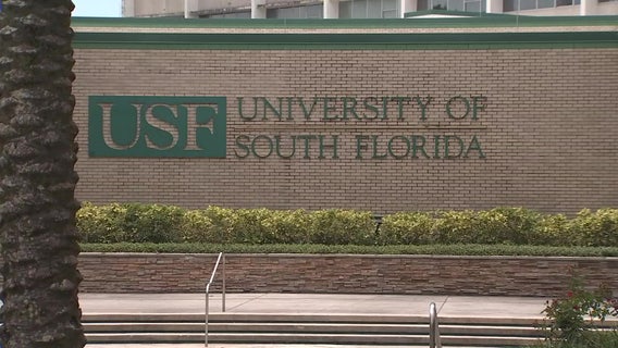 USF rolls out hybrid learning model for upcoming school year
