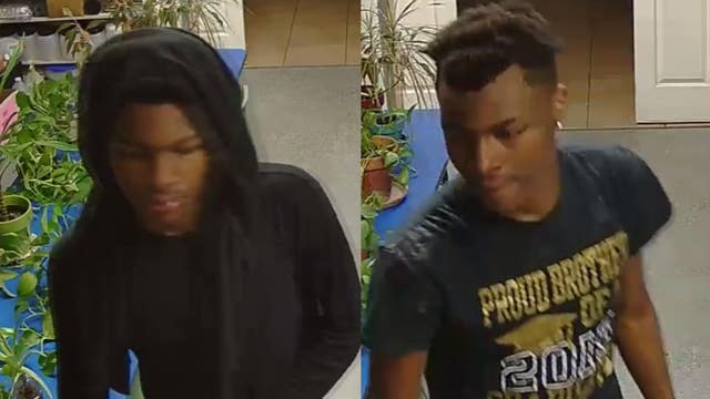 Pasco deputies search for burglars who broke into private school