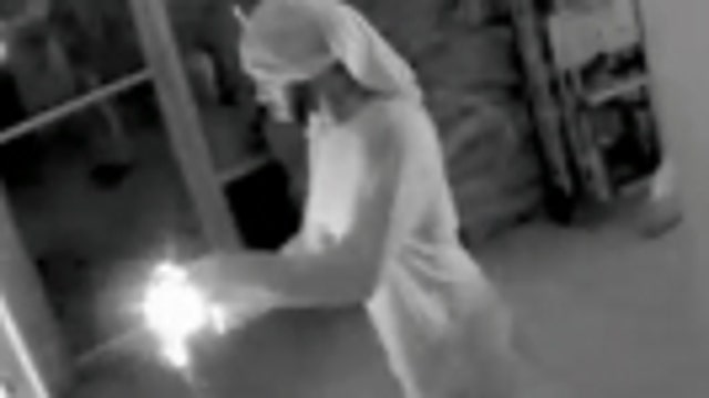 Hillsborough County deputies searching for car dealership burglar, arsonist