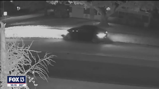 Police search for black car that mowed down 13 mailboxes in Clearwater