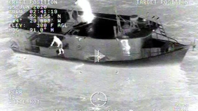 Moray eel bite victim rescued off coast of Venice, Florida