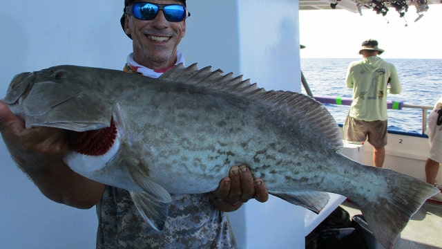 Fishing Report: June 26, 2020