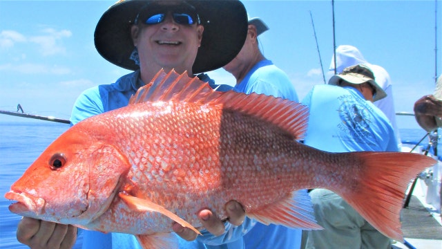 Fishing Report: June 12, 2020