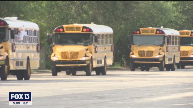 Congressman Charlie Crist reintroduces school bus seat belt requirement bill