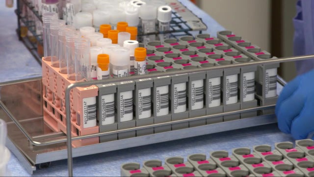 As many as 1,000 people per day can get tested for COVID-19 at Raymond James Stadium starting Tuesday